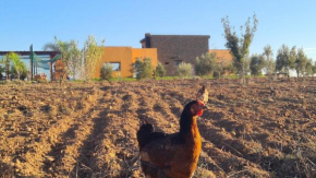 Ferme Naturalis